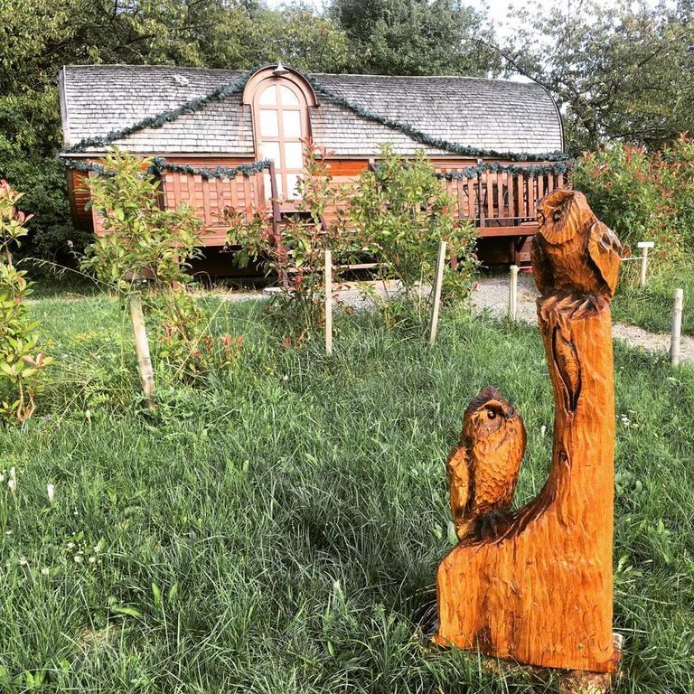 Le Chalet Du Chemin Et Sa Roulotte Berviller-en-Moselle Kültér fotó