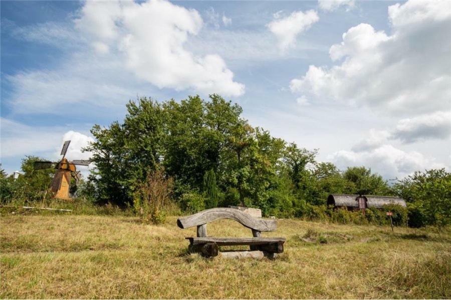 Le Chalet Du Chemin Et Sa Roulotte Berviller-en-Moselle Kültér fotó