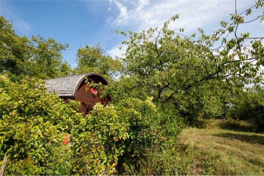 Le Chalet Du Chemin Et Sa Roulotte Berviller-en-Moselle Kültér fotó