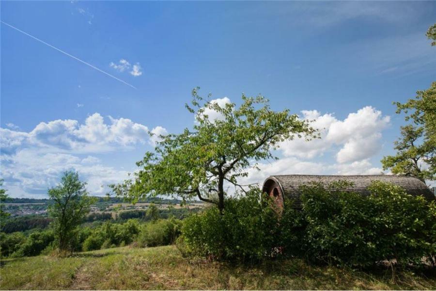Le Chalet Du Chemin Et Sa Roulotte Berviller-en-Moselle Kültér fotó