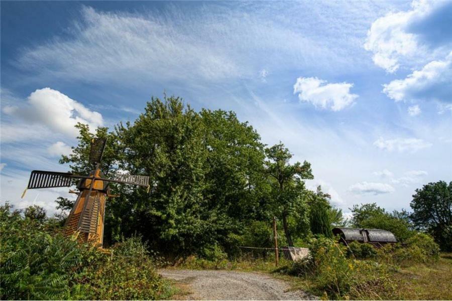 Le Chalet Du Chemin Et Sa Roulotte Berviller-en-Moselle Kültér fotó